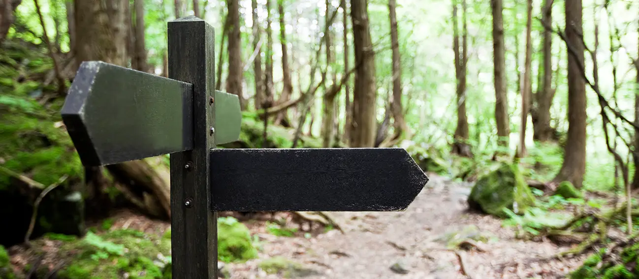 A signpost in the woods pointing down two different paths