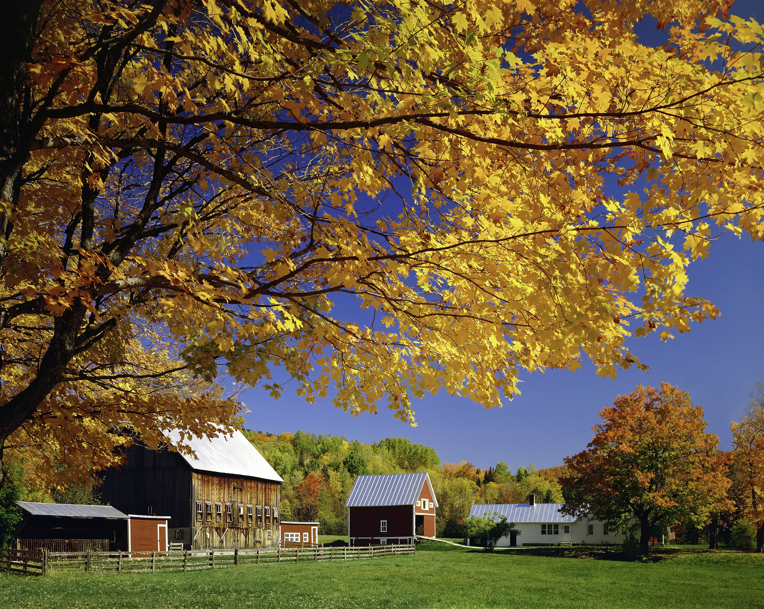 Vermont autumn foliage, rural New England countryside, barn, farm buildings